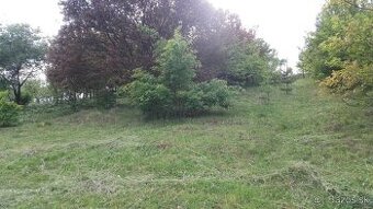 Pozemok - záhrada Velký Šariš - oblasť Kanaš