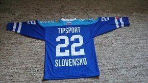 Slovenský dres - 1