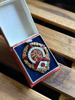 Odznak Vzorny Zdravotník