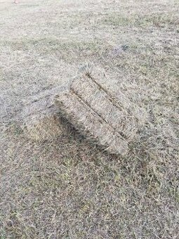 Predám malé balíky sena