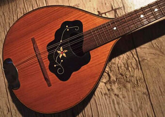 Retro mandolína v praktickom puzdre