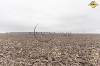 NA PREDAJ orná pôda pri ceste o výmere 11.772 m2 v Zohore
