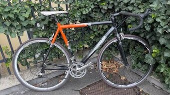 Cestny bike “L”