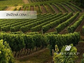 Znížená cena. Na predaj: vinica - Vyškovce nad Ipľom