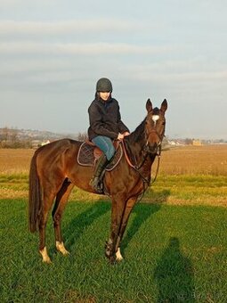 Valach A1/1