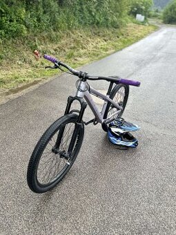 Dirt king Xpert 2023