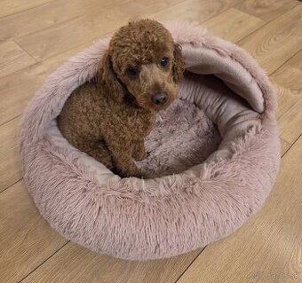 I love Pets peliešok Katie staroružová