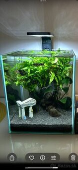 Akvarium