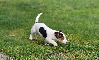 Jrt