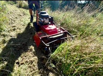 🌳 kosenie, orez / výrub stromov, ,odvoz 🌿