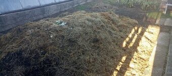 Darujem konský hnoj