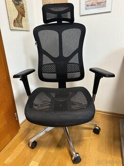 Ergonomicka stolicka business