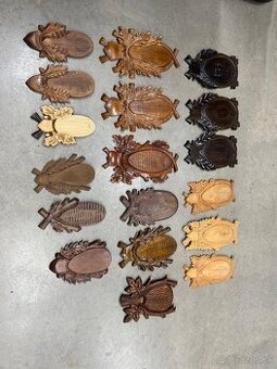 Trofej,parohy,parozie,srnec 1