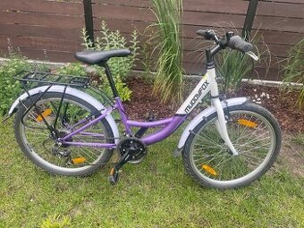 Muddyfox voyager 24