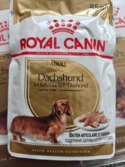 Royal Canin Dachshund Adult potrava pre jazvečíka