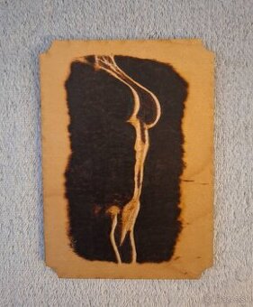 Ženské telo- negatívny priestor