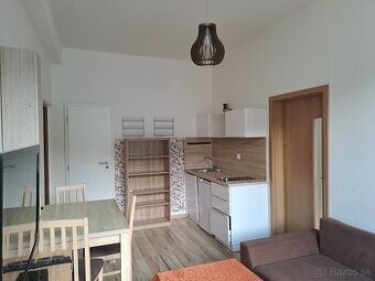 Prenájom 1 izbového bytu/ apartmánu