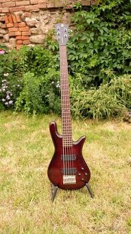 basgitara Spector Legend 5 Standard