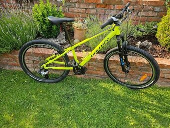 Bicykel Galaxy Pavo 24" yellow