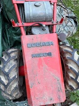 Bucher kosa