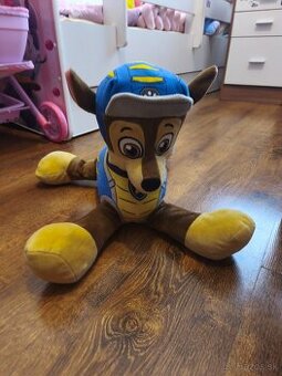 Paw patrol