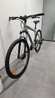 CTM REIN 2.0 29" šedá / červená, model 2021
