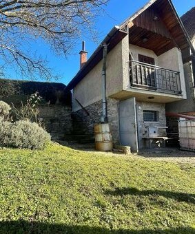 Vinohrad s chatou a 2 pivnicami v Tokajskej oblasti - 1