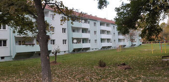 NA PRENÁJOM 2 IZBOVÝ TEHLOVÝ BYT S BALKÓNOM TRENĆÍN -  VOĽNÝ