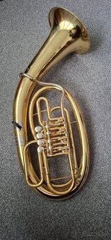 B Tenor-baskrídlovka