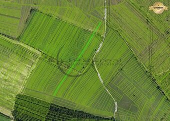 NA PREDAJ poľnohosp. pôda 1.651 m2 v podiele 1/1 v Lozorne