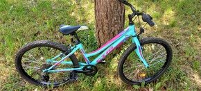 Bicykel dievčenský CTM MONY matná tyrkysová / ružová
