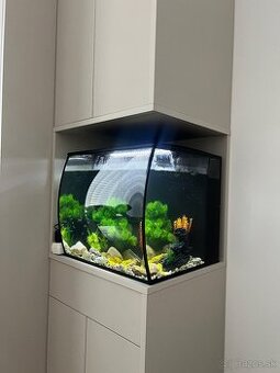 Predám akvárijum 34l s osvetlenim a filtráciou