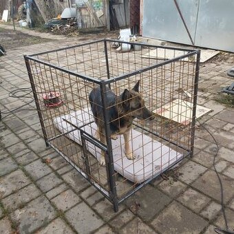 Klietka pre psa