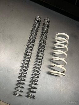 Struny predok zadok conevalve - 1