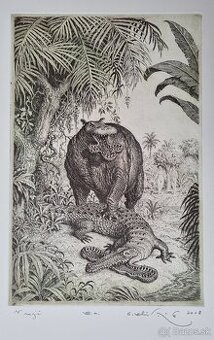 Predám tieto dve grafiky od Petra Kľúčika.