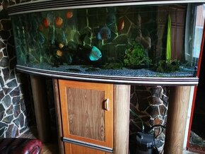 komplet akvarium s rybami