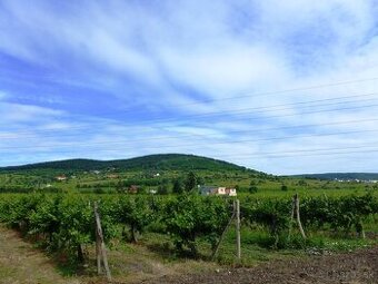 Luxusný 5i RD, 260m,2x PARKING, unikátny výhľad, Pezinská ul