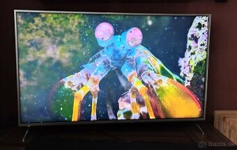 TV Panasonic TX-55FX613E LED