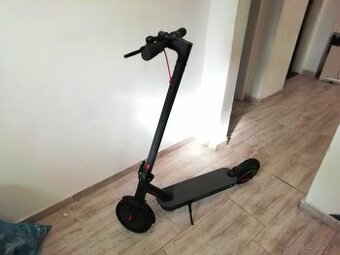 Scooter Two LONG RANGE 400