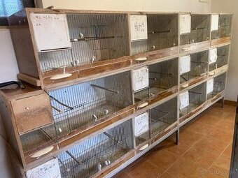 Andulky ,drobotina ,chovne boxy