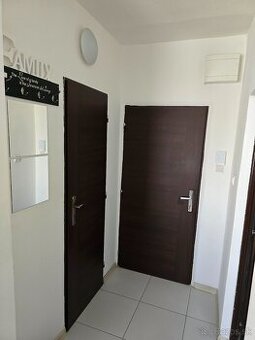 Pekný 1izbový byt na Sidl. 3 na prenájom