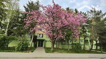 3-izbový byt 87 m² - centrum, výťah, loggia