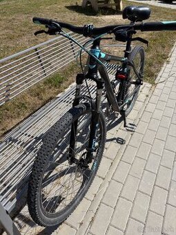 Horský bicykel Kellys TNT 10