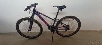 Dema Roxie 260