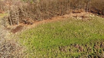 PREDAJ- POZEMOK PRI LESE  - VOZNICA