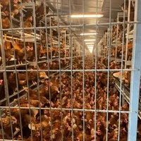 Farma Sliepok