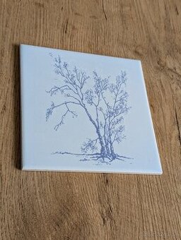 Obkladačky 15x15 - 1