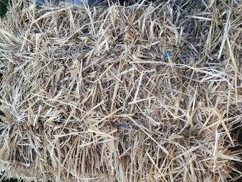 Pšenicná slama , male baliky.