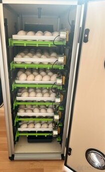 Kuriatka - Vlaška Jarabičia