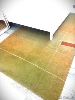 Predam maximalne zachovaly koberec